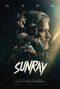 Sunray: Fallen Soldier online